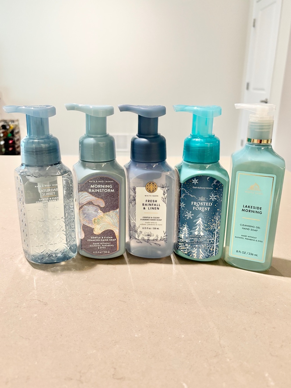 Bath and Body Works 5 Piece Hand Soap Gift Set
